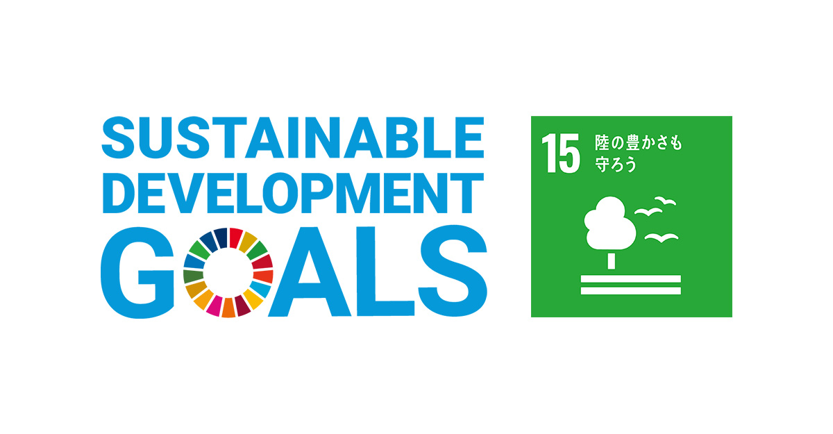 サービス対応のために、パソコンでコーディングをしている様子